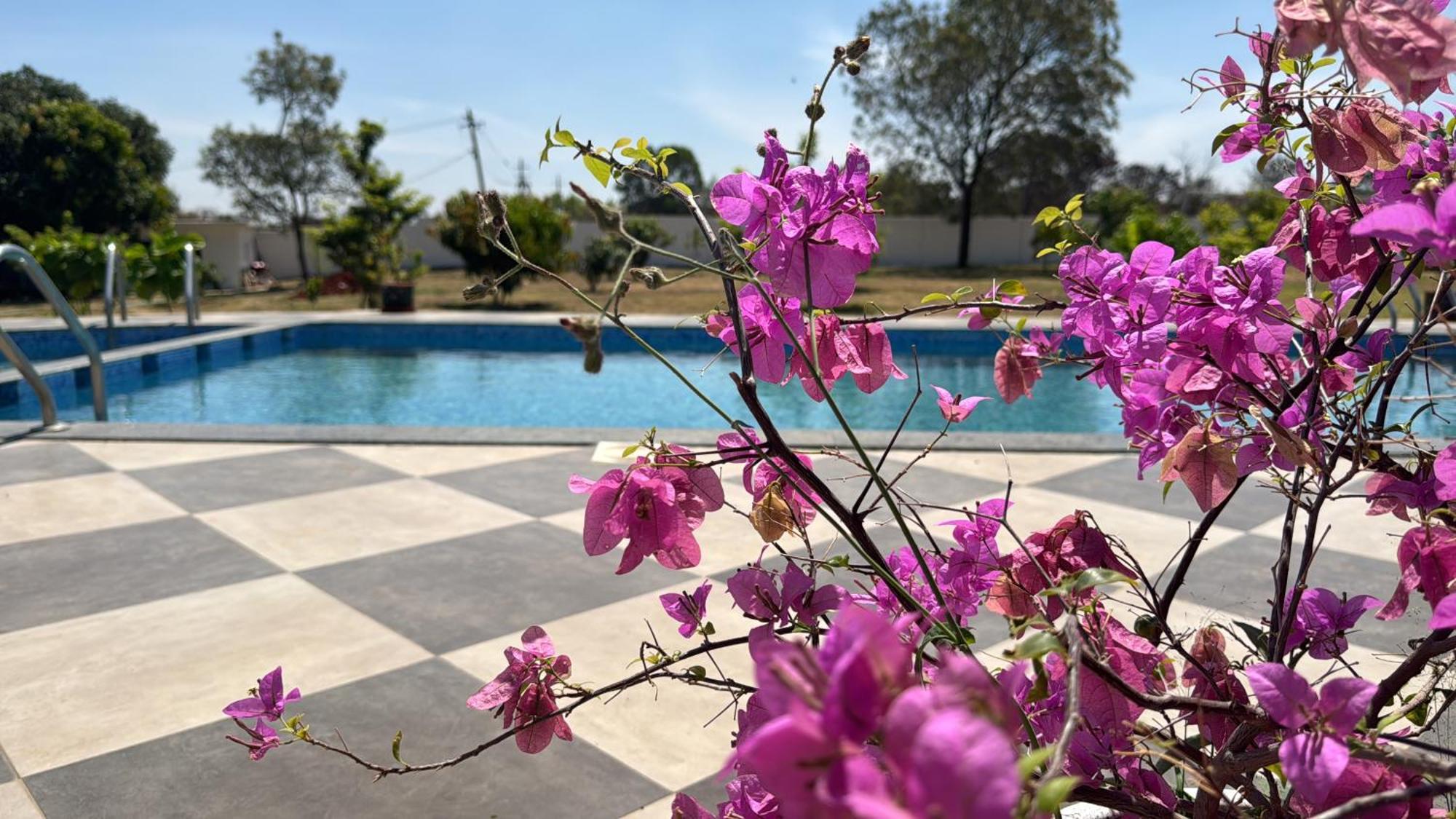 Raj Home Stay Mysore Exterior foto